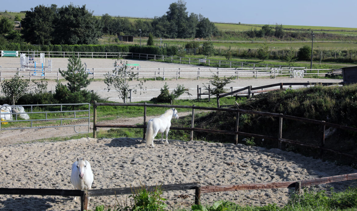 Carrières poney