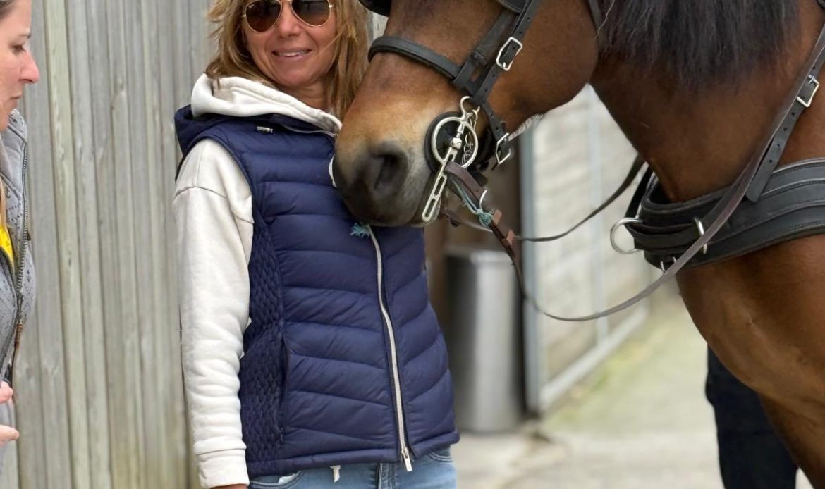 coaching equestre